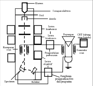 Gambar 4. Skema Dasar SEM (El Fray et al, 2007) 