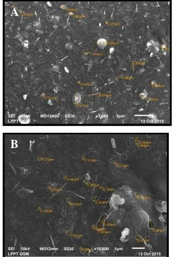 Gambar 5. Hasil Uji SEM Formula 3 (A) Perbesaran  3000x (B) Perbesaran 10.000x   