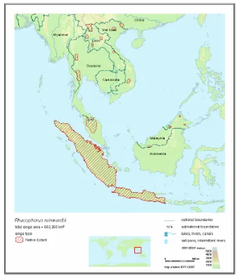 Gambar 3. Peta penyebaran Katak pohon hijau (Rhacophorus reinwardtii) (IUCN, Conservation International and Nature Serve, 2004)