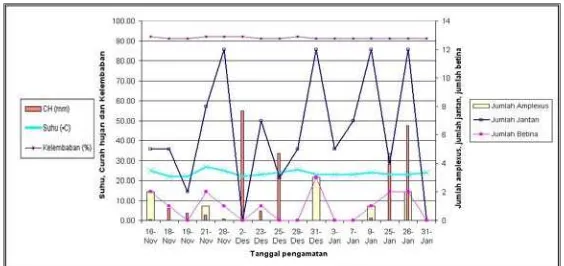 Gambar 12. Suhu, kelembaban, curah hujan dan jumlah pasangan yang amplexus (dengan data perjumpaan sarang) selama pengamatan mulai bulan November 2005-Januari 2006