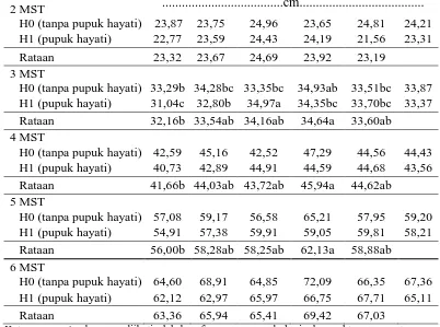 Tabel 1. Rataan tinggi tanaman pada pemberian pupuk hayati dan POC dari limbah cair tahu              