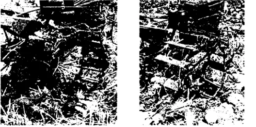 Figure 9. Soil blocking on the fixed lug wheel (a), and the swing action of the lugplate of the movable lug wheel which removed the adhered soil (b).