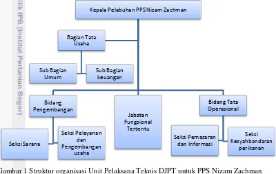 Gambar 1 Struktur organisasi Unit Pelaksana Teknis DJPT untuk PPS Nizam Zachman  