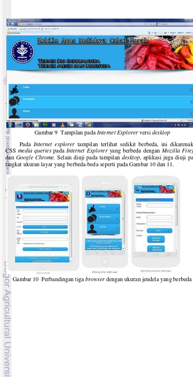 Gambar 9  Tampilan pada Internet Explorer versi desktop 