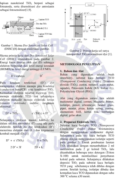 Gambar 1. Skema Dye Sensitized Solar Cell 