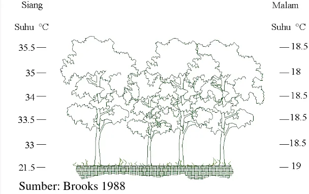 Gambar 15  Pengaruh vegetasi terhadap perubahan suhu  