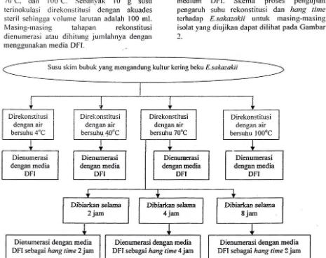 Gambar 2. Skema pengujian pengaruh suhu rekonstitusi dan hang time terhadap E.sakazakii 