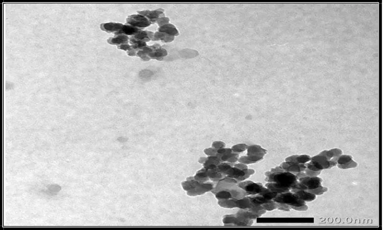 Gambar 4.4 Hasil Analisa morfologi Nanokristal Selulosa Menggunakan TEM 