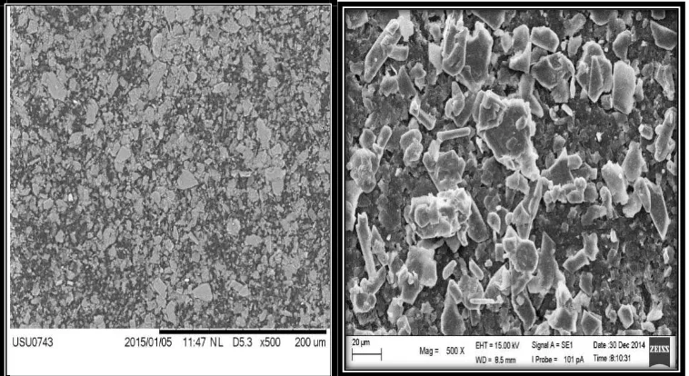 Gambar 4.6    Analisa SEM dari a) morfologi lateks tanpa bahan pengisi,  