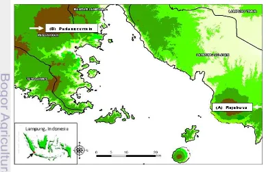 Gambar 3.1  Lokasi Penelitian, (A) Wilayah Kecamatan Rajabasa, (B) Wilayah 