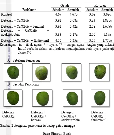 Tabel 3 Pengaruh bahan pencuci terhadap getah dan kotoran pada buah mangga 