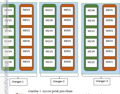 Gambar 1  Layout petak percobaan 