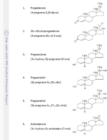 Gambar 9 Struktur metabolit utama progesteron (Langton dan Armstrong 1994)  