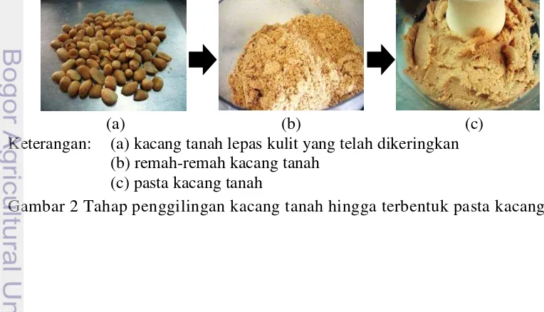 Tabel 2 Komposisi bahan formula selai kacang galohgor 