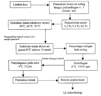 Gambar 3. Diagram alir proses isolasi pepton dengan hidrolisis ensim eksternal 