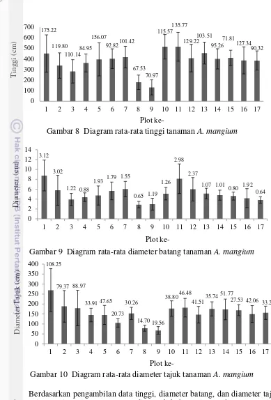 Gambar 10  Diagram rata-rata diameter tajuk tanaman A. mangium 