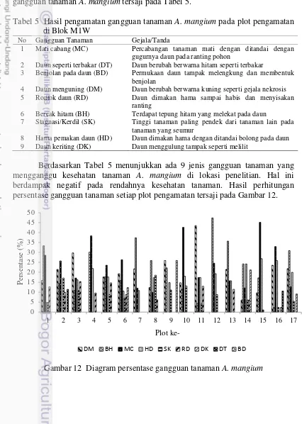 Tabel 5  Hasil pengamatan gangguan tanaman A. mangium pada plot pengamatan 