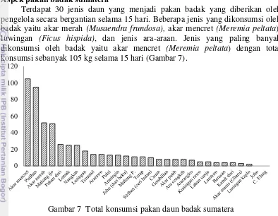 Gambar 7  Total konsumsi pakan daun badak sumatera 