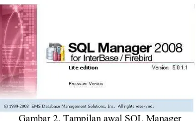 Gambar 2. Tampilan awal SQL Manager 