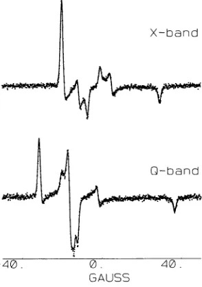 FIGURE 7boundCW-EPR spectra (dots) at X- and Q-band of N6-SL-NAD+ to GAPDH at a ratio of 0.3 spin-labels per GAPDH tetramer