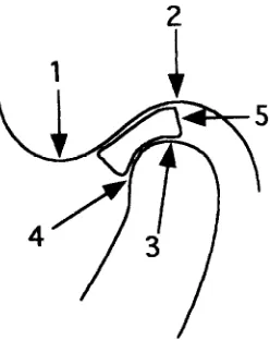 Fig. 1. Points used for projective invariant analysis. 
