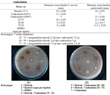 Tabel 2. Hasil uji kombinasi ekstrak etanol daun jambu monyet (Anacardium occidentale L.) dan vankomisin 