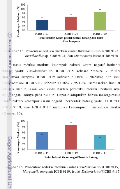Gambar 15. Prosentase reduksi merkuri isolat Brevibacillus sp. ICBB 9123 
