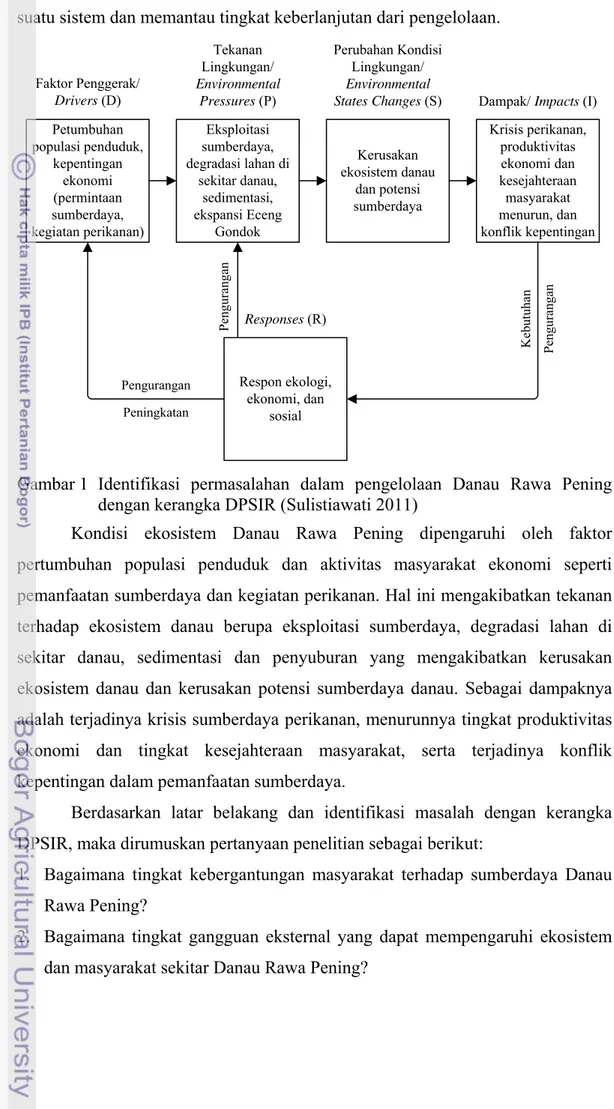 Gambar 1  Identifikasi  permasalahan  dalam pengelolaan Danau Rawa Pening  dengan kerangka DPSIR (Sulistiawati 2011) 