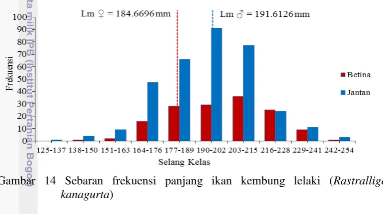 Gambar 14 Sebaran frekuensi panjang ikan kembung lelaki ( Rastralliger 