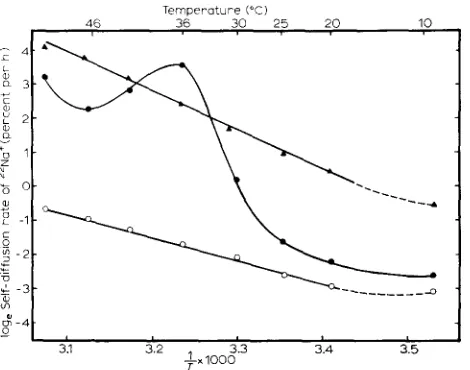 Fig. 8. Arrhenius plot of self-diffusion rates of ~Na + through different vesicles. Experimental 