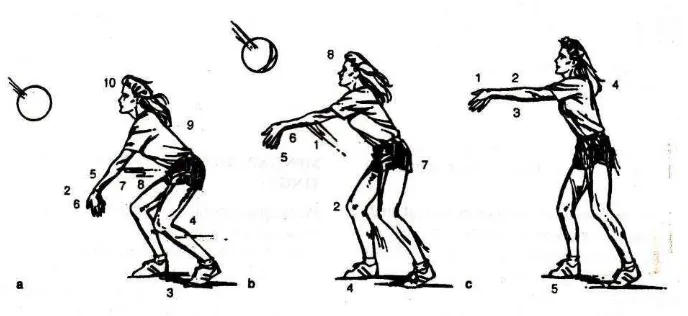 Gambar 4. Teknik Passing Bawah atau Operan Lengan Bawah ( Sumber: Barbara L. Viera (2004: 20) ) 