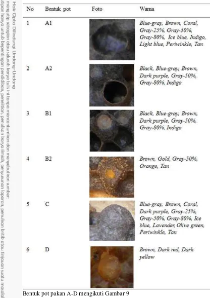 Tabel 6 Pot pakan T. laeviceps dan warnanya 