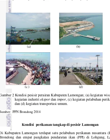 Gambar 2 Kondisi pesisir perairan Kabupaten Lamongan; (a) kegiatan wisata, (b) 
