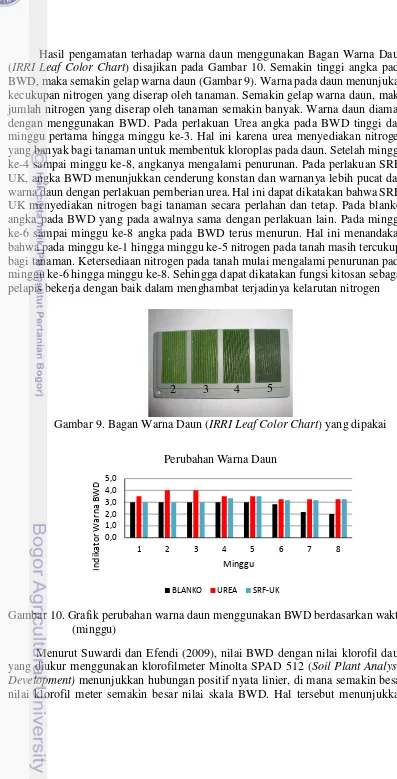 Gambar 9. Bagan Warna Daun ( IRRI Leaf Color Chart) yang dipakai 