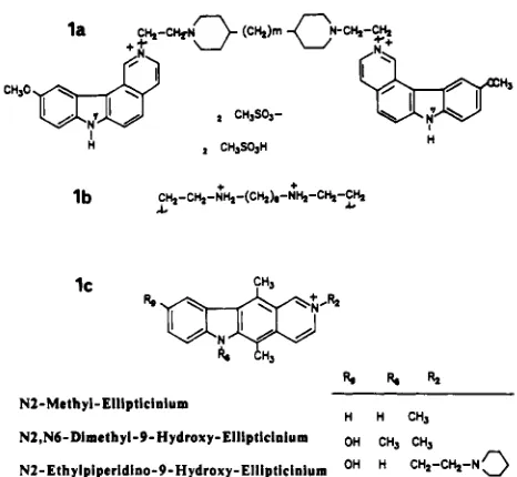 FIGURE 1: between the piperidine rings, and Structures of the pyridocarbazole compounds studied: (la lb) ditercalinium derivatives (m is the number of methylenes 0, 1,2, or 3); (IC) ellipticinium derivatives