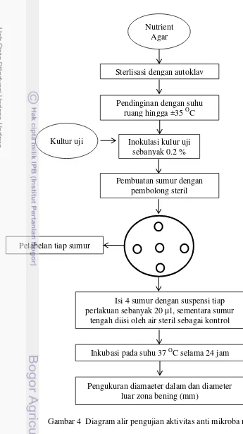 Gambar 4  Diagram alir pengujian aktivitas anti mikroba metode sumur 