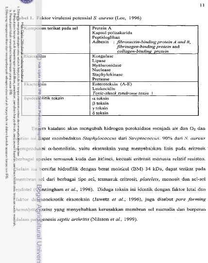 Tabel 1. Faktor virulensi potensial S. aureus (Lee, 1996) 