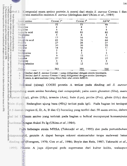 Tabel 2. Komposisi asam amino protein A murni dari strain S. aureus Cowan 1 dan 