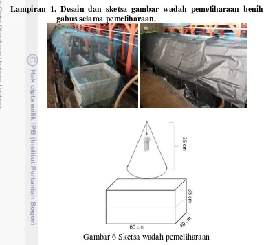 Gambar 6 Sketsa wadah pemeliharaan  