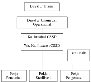 Gambar 3.2 Struktur Organisasi Instalasi Central Sterilized Supply Department 