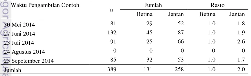 Tabel 2 Rasio kelamin ikan lemuru (Sardinella lemuru) setiap pengambilan 