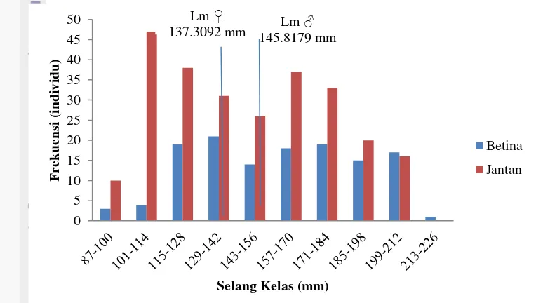 Gambar 12 Grafik sebaran frekuensi panjang ikan lemuru (Sardinella lemuru) dengan keterangan Lm 