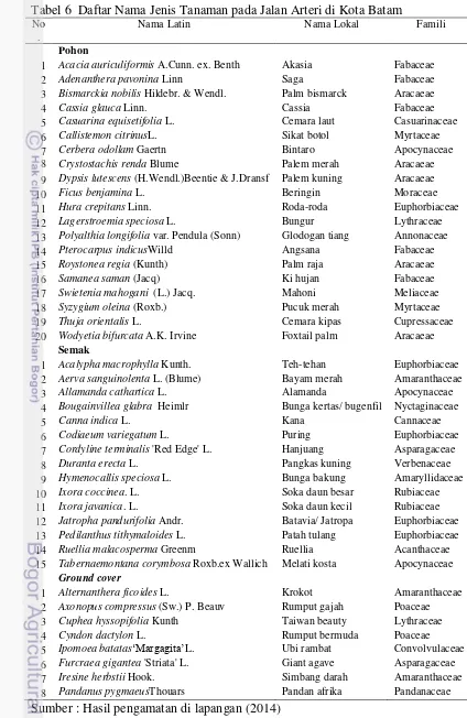 Tabel 6  Daftar Nama Jenis Tanaman pada Jalan Arteri di Kota Batam 