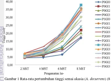 Gambar 1 Rata-rata pertumbuhan tinggi semai akasia (A. decurrens) (8 MST)  