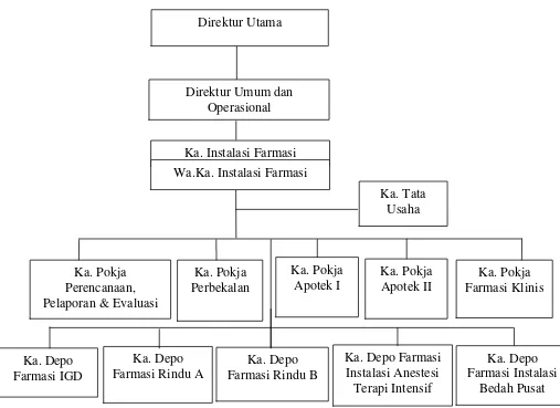 Gambar 3.1  Struktur Organisasi Instalasi Farmasi RSUP. H. Adam Malik Medan 