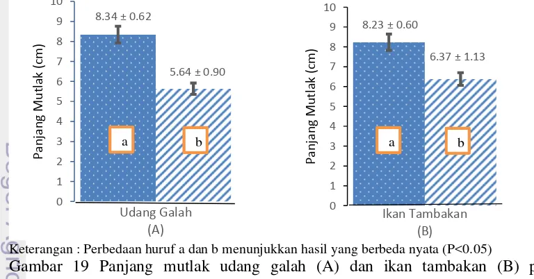 Gambar 18 Grafik Pertumbuhan panjang udang galah (A)  dan ikan tambakan (B) 