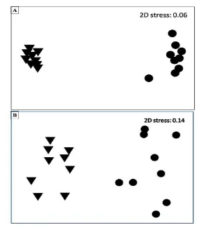 Figure 11  Two dimensional nMDS ordination of fish abundance (A) and DW (B) 