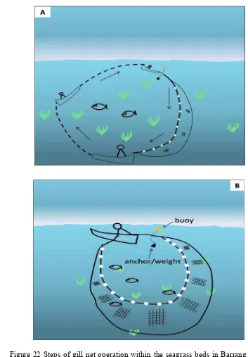 Figure 22 Steps of gill net operation within the seagrass beds in Barrang Lompo 