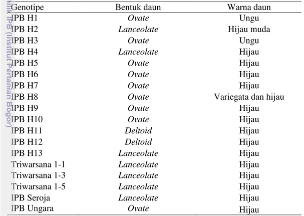Tabel  3    Penampilan  karakter  kualitatif  bentuk  daun  dan  warna  daun  pada  18   genotipe cabai hias yang diuji 