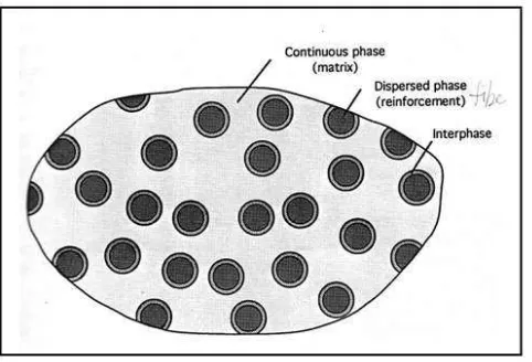 Figure 2.1: Phases of a composite material. 